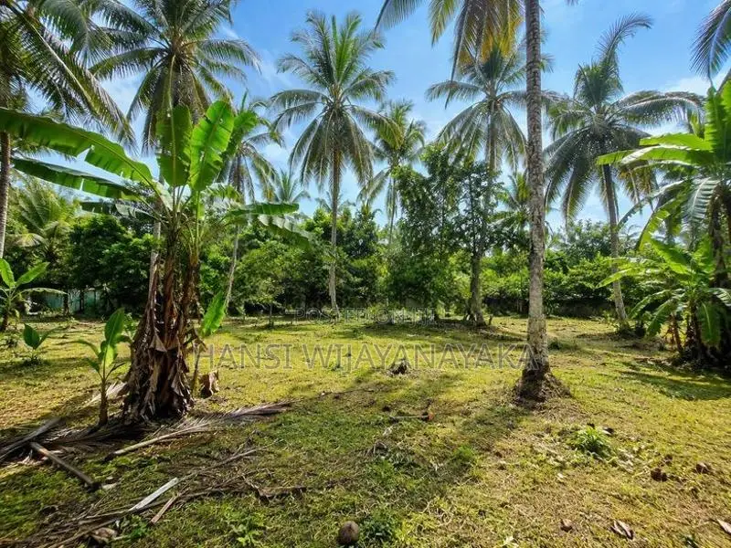 Land For Sale - බෝගමුව කලගෙඩිහේන පර්චස් 70ක වටිනා ඉඩමක් විකිණීමට