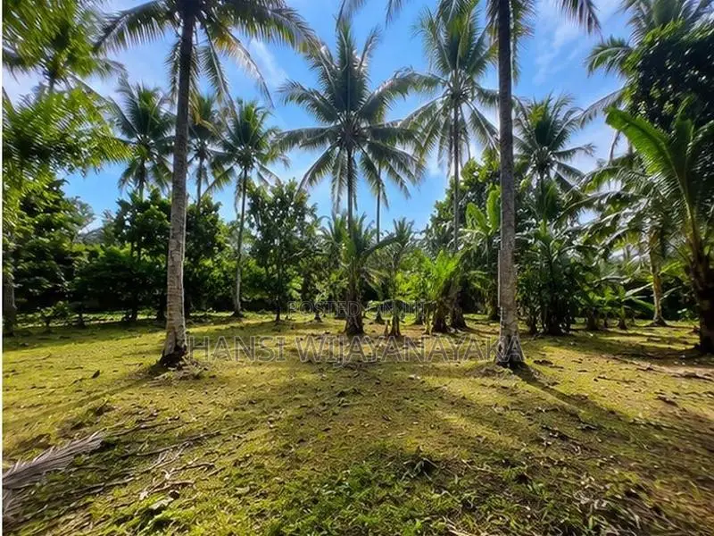 Land For Sale - බෝගමුව කලගෙඩිහේන පර්චස් 70ක වටිනා ඉඩමක් විකිණීමට