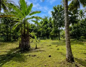 Land For Sale - බෝගමුව කලගෙඩිහේන පර්චස් 70ක වටිනා ඉඩමක් විකිණීමට