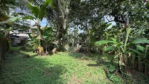 20 Perches flat land for sale close to Kandy Road, & Kadawatha Town