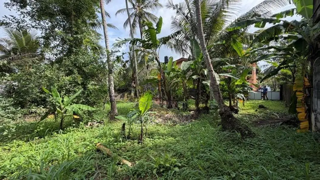 20 Perches flat land for sale close to Kandy Road, & Kadawatha Town