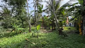 20 Perches flat land for sale close to Kandy Road, & Kadawatha Town