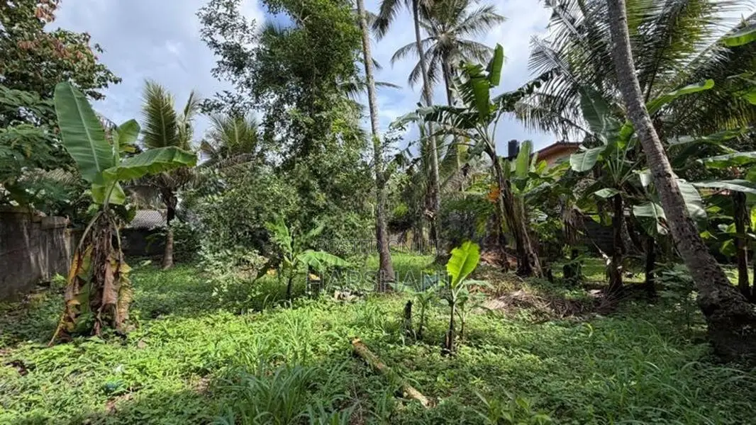 20 Perches flat land for sale close to Kandy Road, & Kadawatha Town