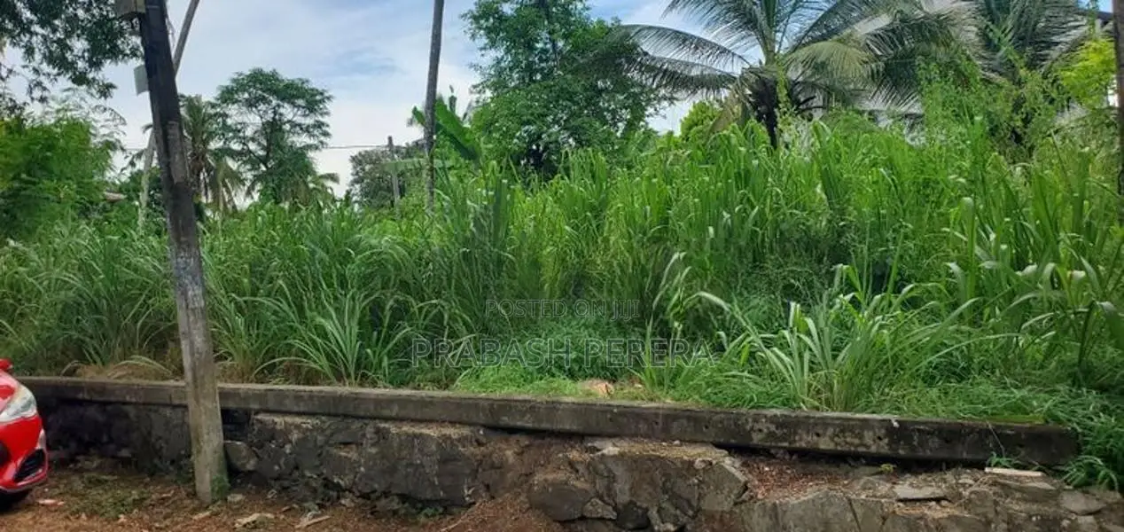 Bare Land for Sale Thalawathugoda