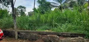 Bare Land for Sale Thalawathugoda