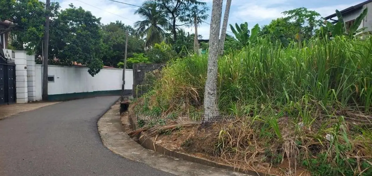 Bare Land for Sale Thalawathugoda