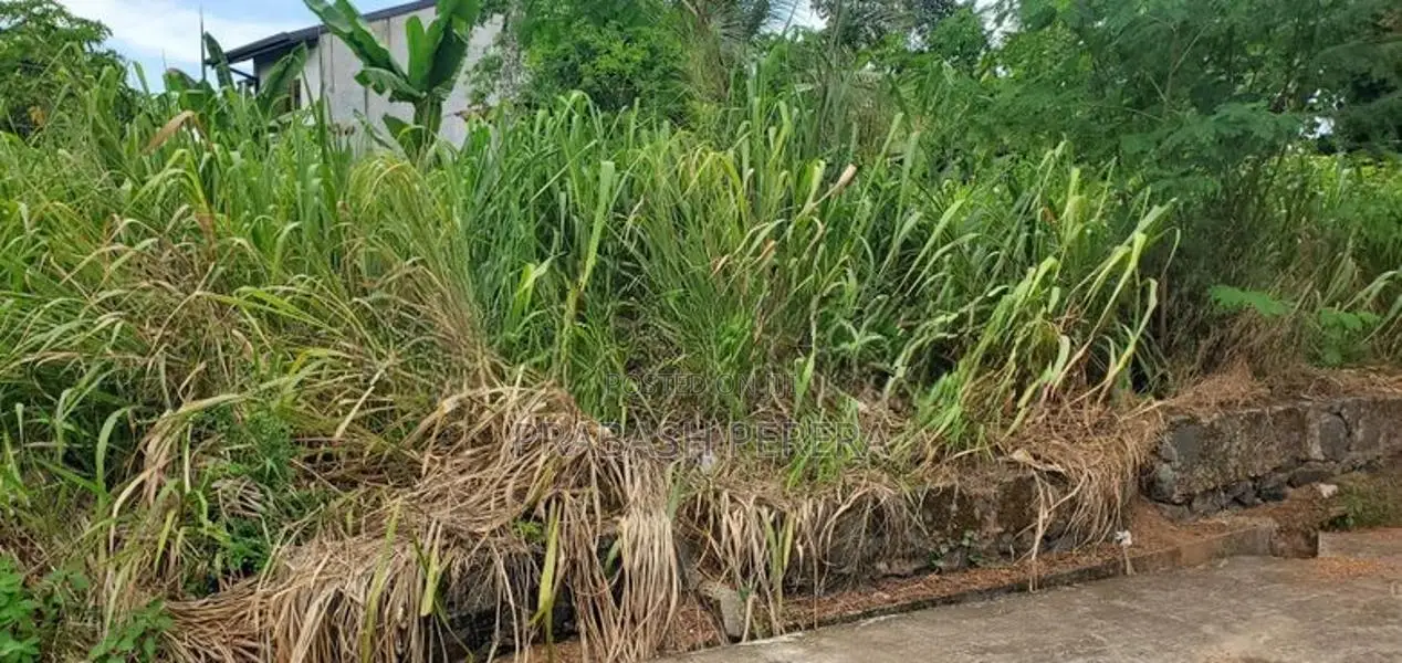 Bare Land for Sale Thalawathugoda
