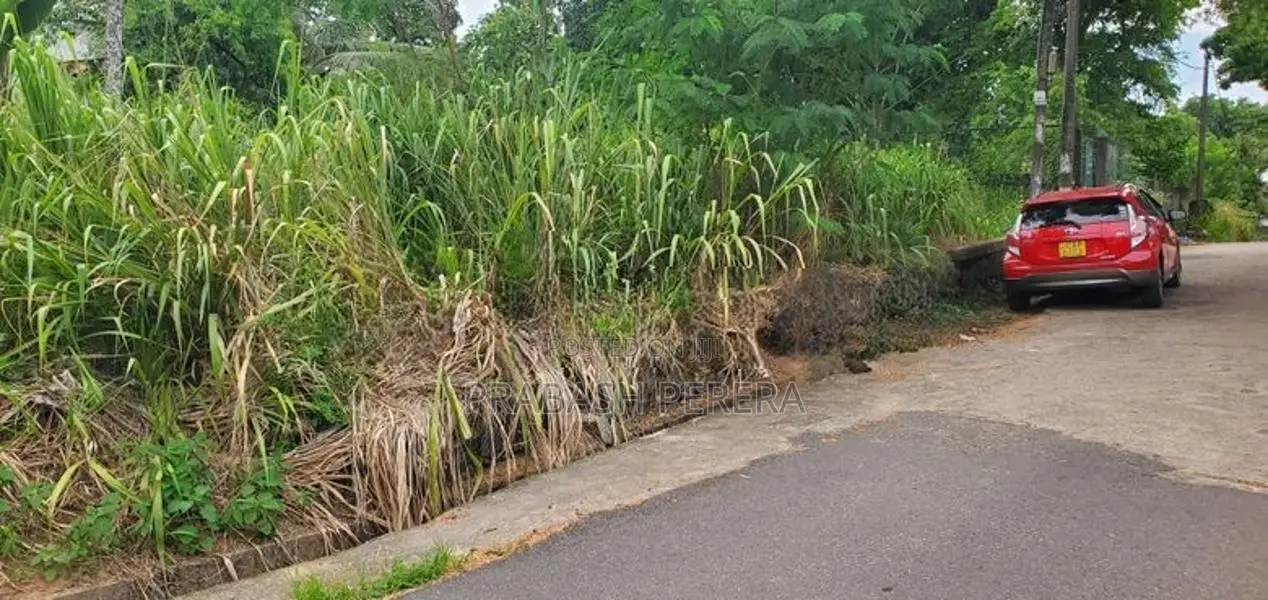 Bare Land for Sale Thalawathugoda