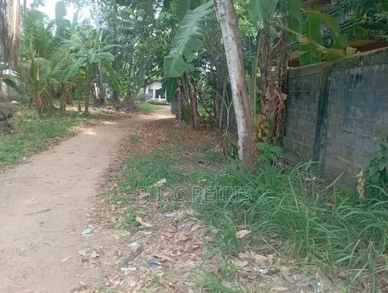 100 perches Land for sale in Amandoluwa,Seeduwa.Gampaha.
