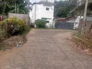 100 perches Land for sale in Amandoluwa,Seeduwa.Gampaha.