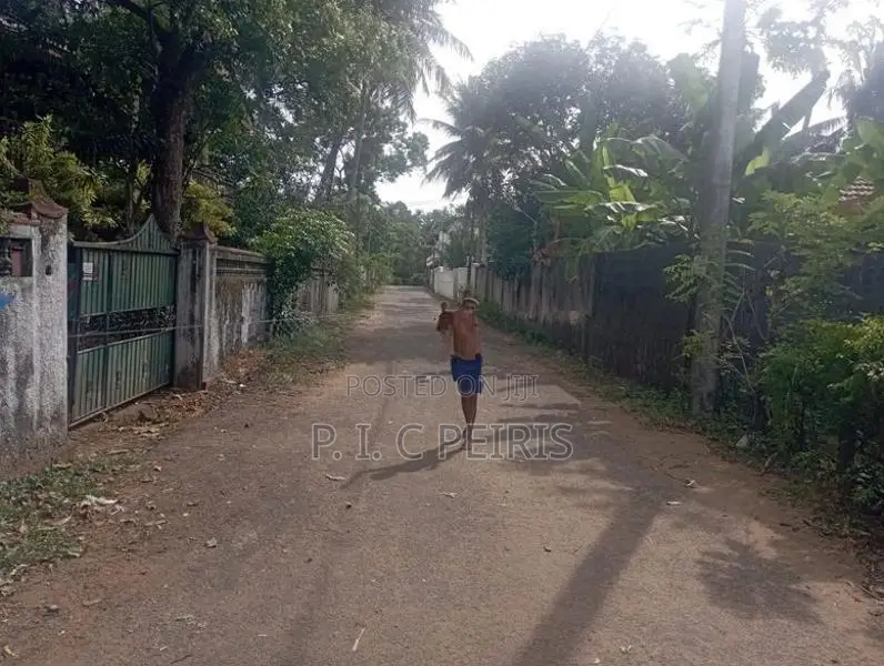 100 perches Land for sale in Amandoluwa,Seeduwa.Gampaha.