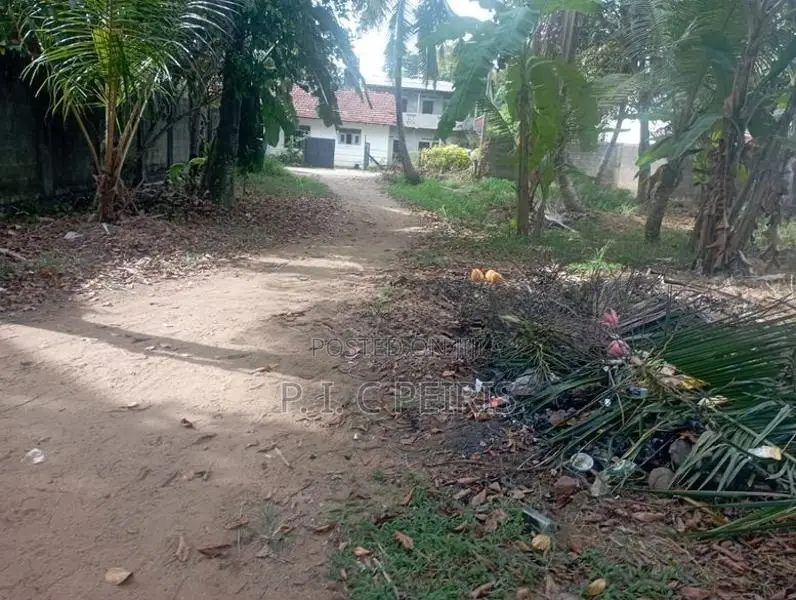 100 perches Land for sale in Amandoluwa,Seeduwa.Gampaha.