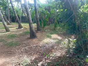 100 perches Land for sale in Amandoluwa,Seeduwa.Gampaha.