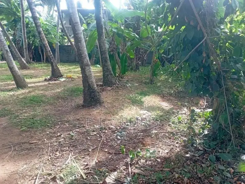100 perches Land for sale in Amandoluwa,Seeduwa.Gampaha.