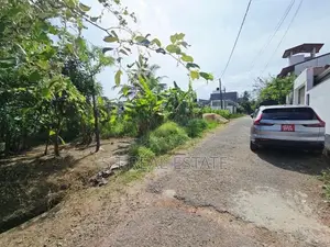 6.50P Bare Land For Sale In Jayaliyagama
