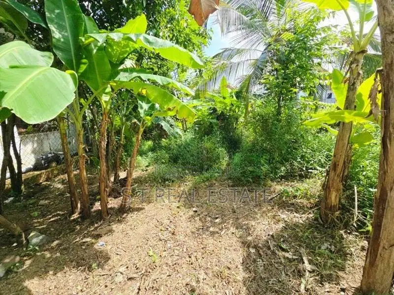 6.50P Bare Land For Sale In Jayaliyagama