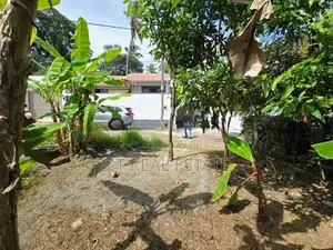 6.50P Bare Land For Sale In Jayaliyagama