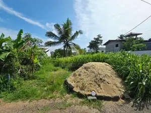 6.50P Bare Land For Sale In Jayaliyagama
