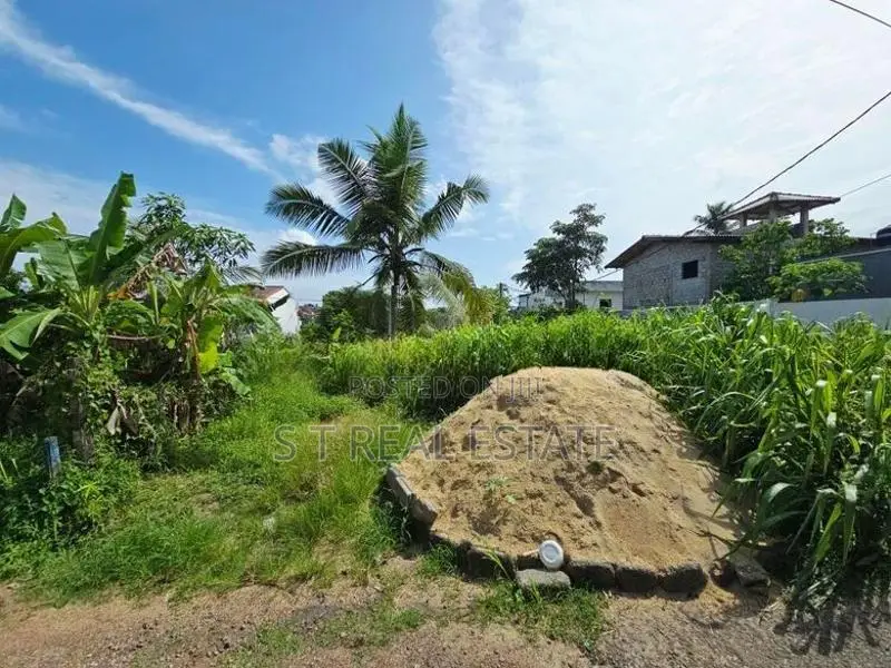 6.50P Bare Land For Sale In Jayaliyagama
