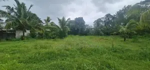 Land for Rent in Kottawa