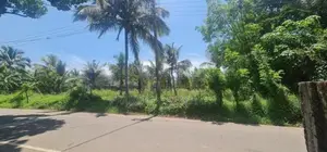 Land for Rent in Kottawa