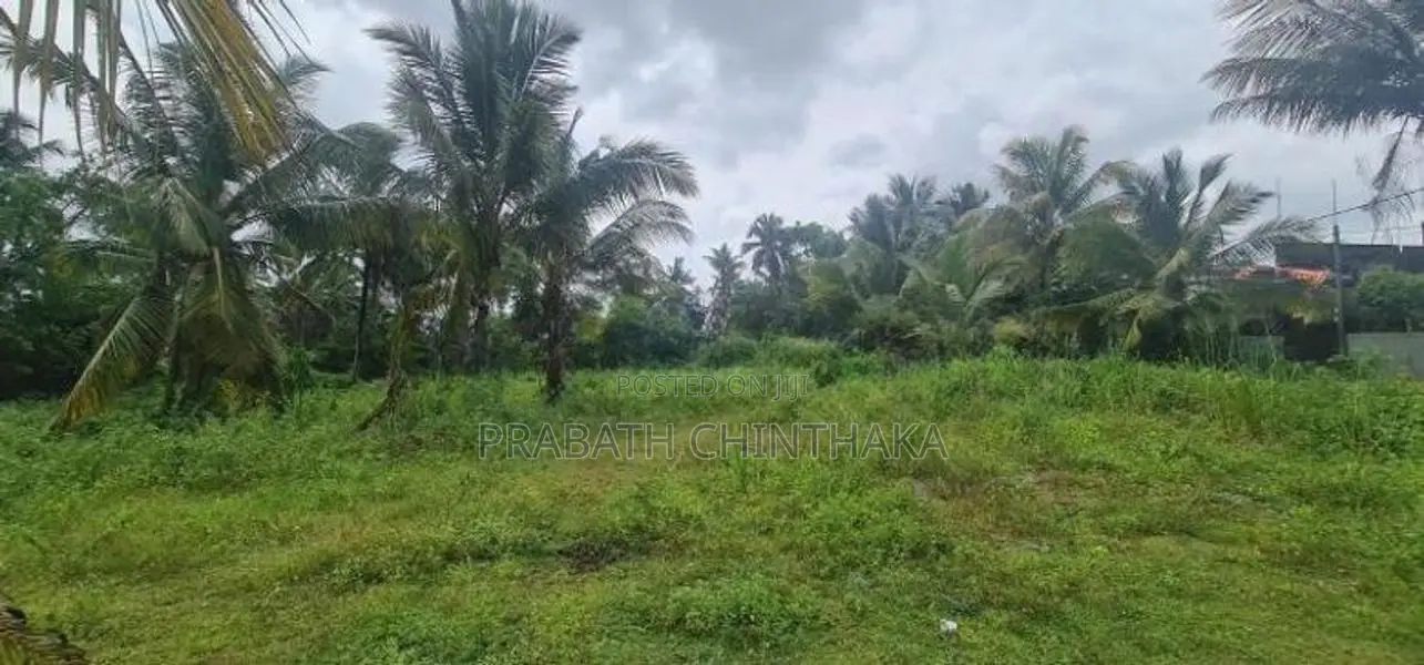 Land for Rent in Kottawa