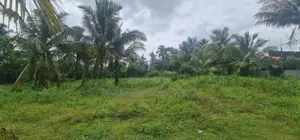 Land for Rent in Kottawa