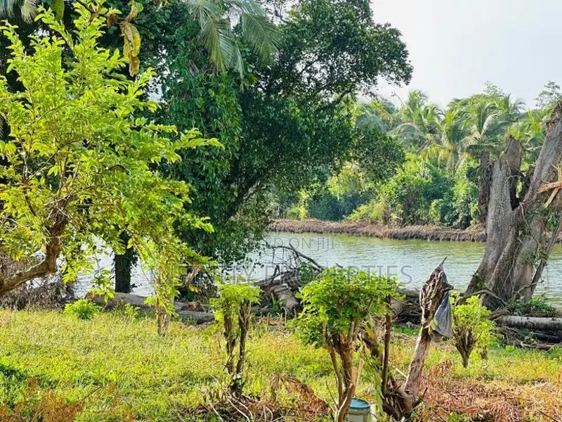 (AFA403) Water Front 38.6 P Land Sale At Medawelikada Road Rajagiriya