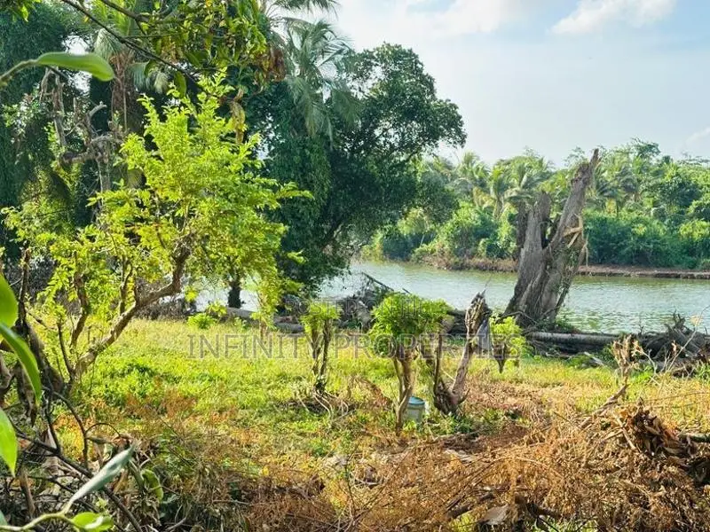 (AFA403) Water Front 38.6 P Land Sale At Medawelikada Road Rajagiriya