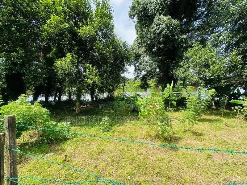 (AFA403) Water Front 38.6 P Land Sale At Medawelikada Road Rajagiriya