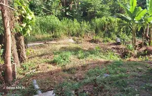 Valuable Land In The Vicinity Of Mulleriyawa Arpico Supermarket..
