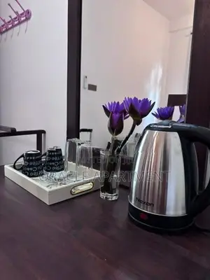 Luxury Furnished Double bedroom for Daily rent in Anuradhapura