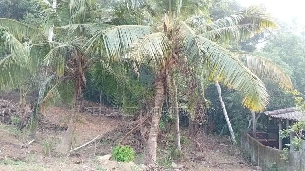 Land For Sale Matara Thalpavila Kekanadura