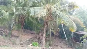 Land For Sale Matara Thalpavila Kekanadura