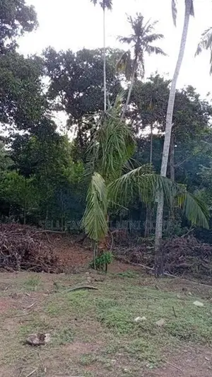 Land For Sale Matara Thalpavila Kekanadura