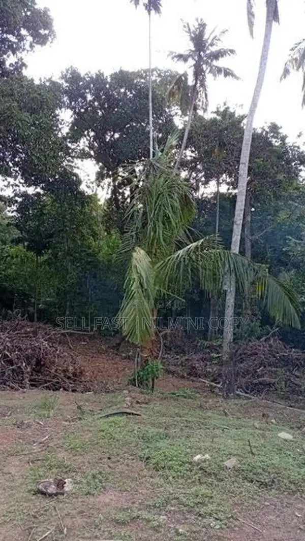 Land For Sale Matara Thalpavila Kekanadura
