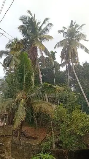 Land For Sale Matara Thalpavila Kekanadura