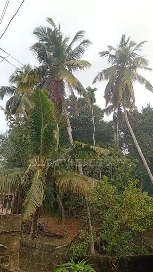 Land For Sale Matara Thalpavila Kekanadura