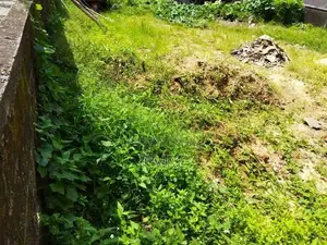 Land for sale in Polhengoda colombo 5