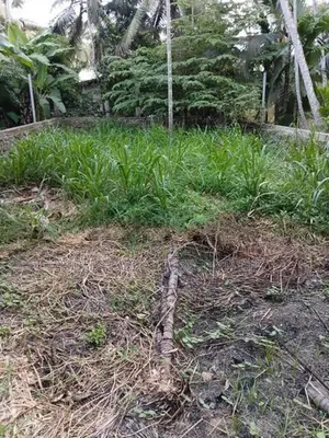 35 Perch Land for Sale – Kaduwela-Hanwella Main Road