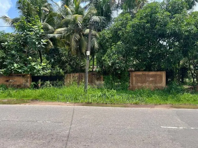 388 PERCHES LAND with WALAWWA for SALE