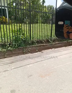 superb land for rent