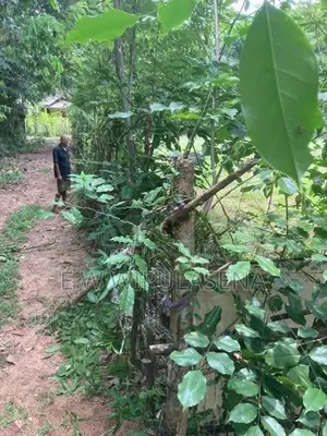 67 Perches LAND for SALE in MADULAWA Godagama