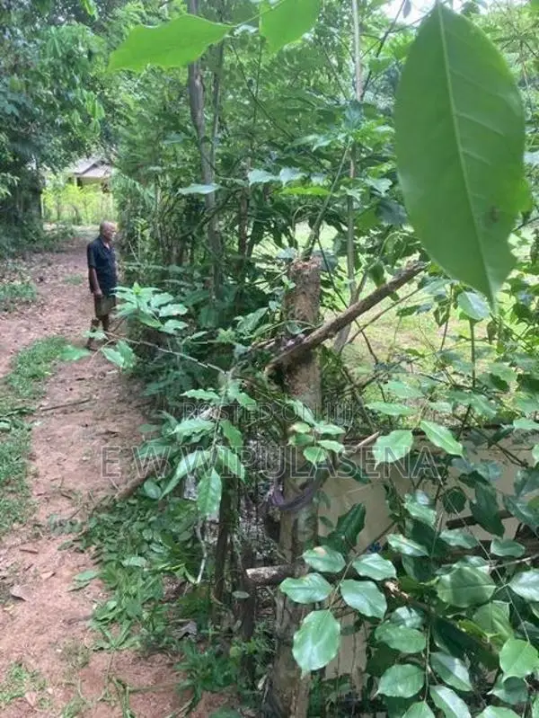 67 Perches LAND for SALE in MADULAWA Godagama