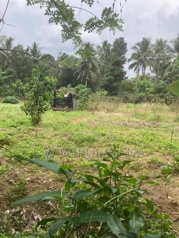 67 Perches LAND for SALE in MADULAWA Godagama
