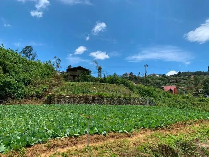Land For Sale In Nuwaraeliya Nuwara Eliya