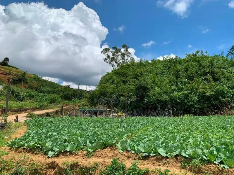 Land For Sale In Nuwaraeliya Nuwara Eliya