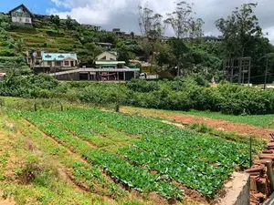 Land For Sale In Nuwaraeliya Nuwara Eliya