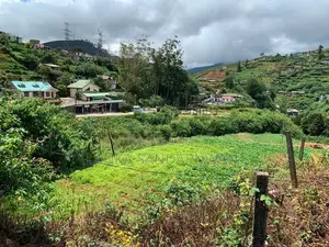 Land For Sale In Nuwaraeliya Nuwara Eliya