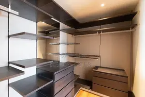 LUXURY FURNISHED PENTHOUSE FOR RENT- Cinnamon Life Col-2